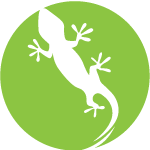 Lizard Icon • Letture & racconti