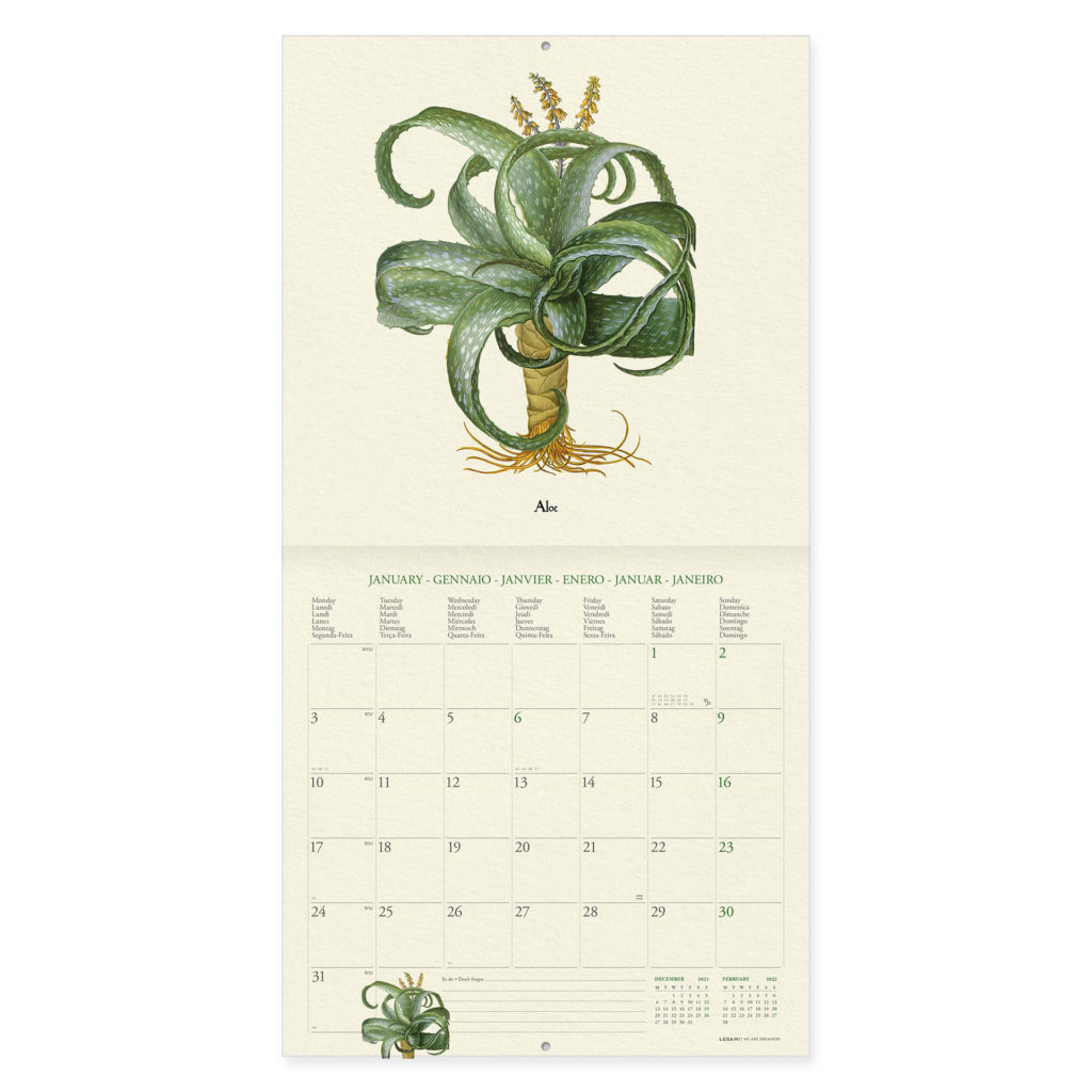 Legami Herbarium Kalender 2 • È Natale anche se... Adventskalenderbuch mit 24 Kurzgeschichten für Kinder und Lerner (B1/B2)