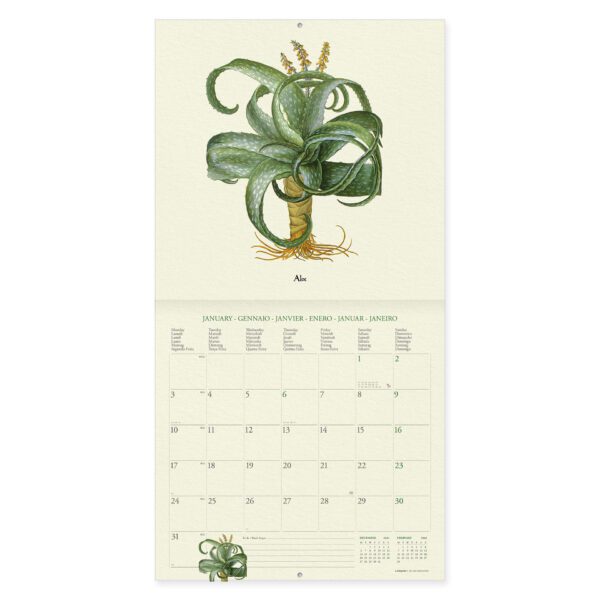 Legami Herbarium Kalender 2 • Herbarium Wandkalender 2022 – 30 x 29 cm