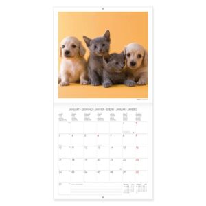 Legami Kalender Bestfriends 2 • Angebote und Aktionen