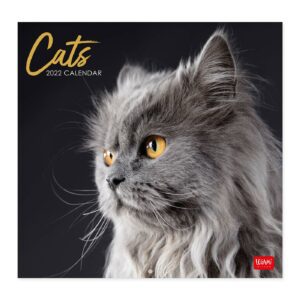 Legami Cats Wandkalender 2022