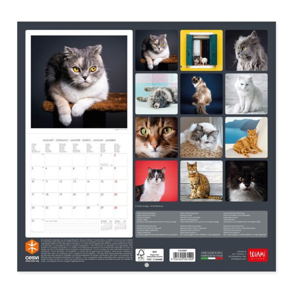 Legami Kalender Cats 3 • Cats Wandkalender 2022 – 30 x 29 cm