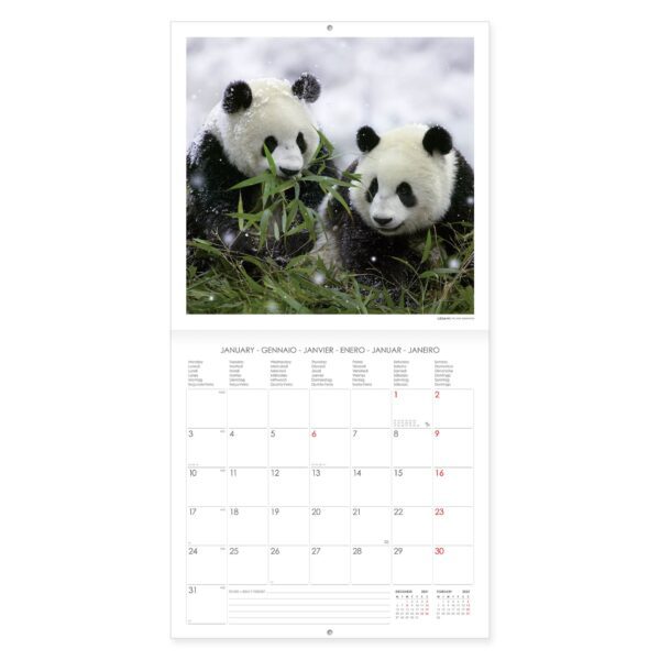 Legami Lovely Pandas Kalender 2 • Lovely Pandas Wandkalender 2022 – 30 x 29 cm