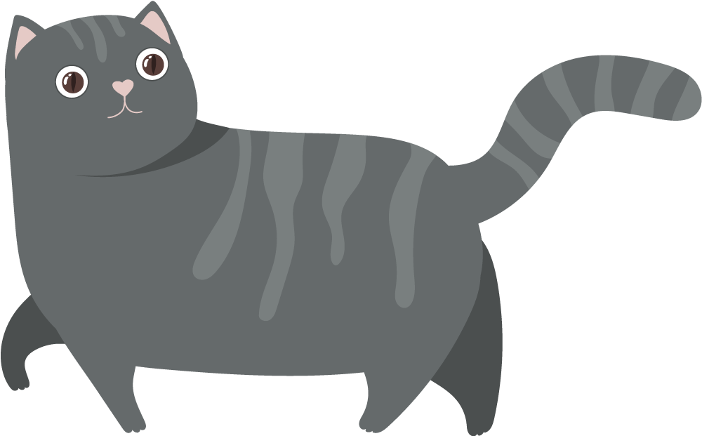 gatto nero | Trainer Verbi
