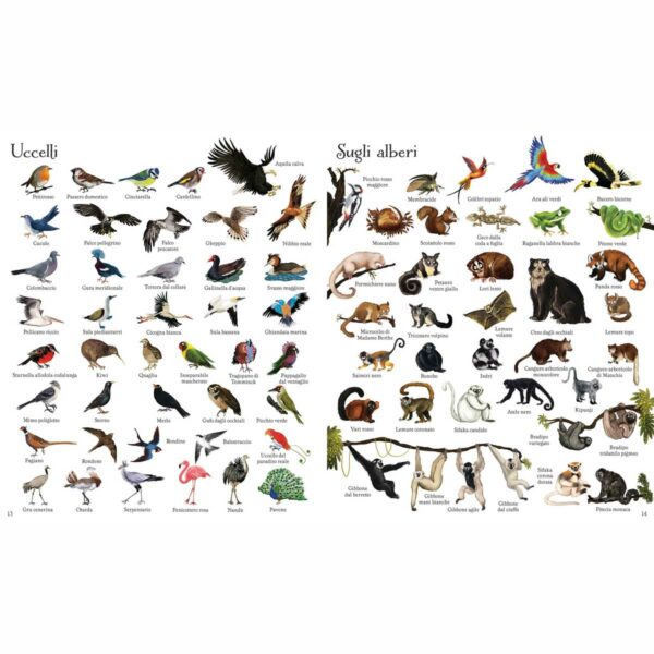 1000 illustrazioni – 1000 animali 1 | 1000 illustrazioni – 1000 animali