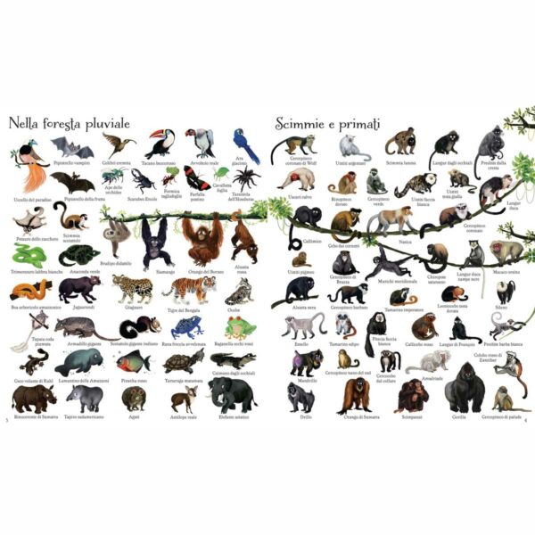1000 illustrazioni – 1000 animali 2 | 1000 illustrazioni – 1000 animali