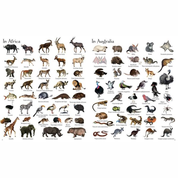 1000 illustrazioni – 1000 animali 3 | 1000 illustrazioni – 1000 animali