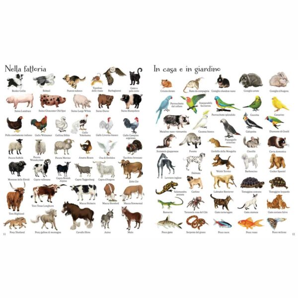 1000 illustrazioni – 1000 animali 4 | 1000 illustrazioni – 1000 animali