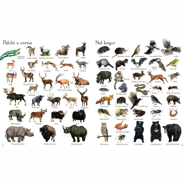 1000 illustrazioni – 1000 animali 5 | 1000 illustrazioni – 1000 animali