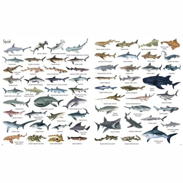 1000 illustrazioni – 1000 meraviglie dei mari 2 | 1000 illustrazioni – 1000 meraviglie dei mari