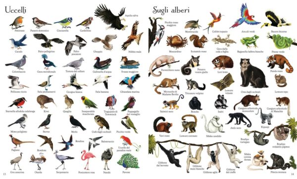 Usborne 1000 illustrazioni – 1000 animali 1 • 1000 illustrazioni – 1000 animali