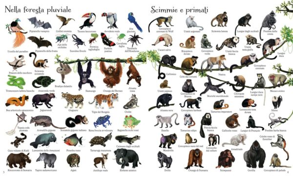 Usborne 1000 illustrazioni – 1000 animali 2 • 1000 illustrazioni – 1000 animali