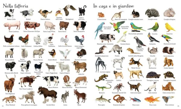 Usborne 1000 illustrazioni – 1000 animali 4 • 1000 illustrazioni – 1000 animali