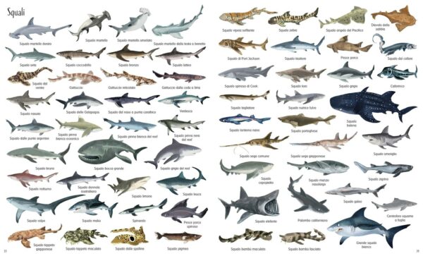 Usborne 1000 illustrazioni – 1000 meraviglie dei mari 2 • 1000 illustrazioni – 1000 meraviglie dei mari