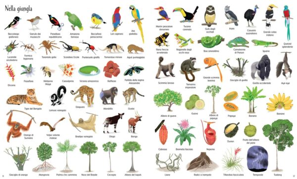 Usborne 1000 illustrazioni – 1000 meraviglie della natura 1 • 1000 illustrazioni – 1000 meraviglie della natura