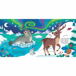 Usborne Animali selvatici 1 | Italienische Kinderbücher