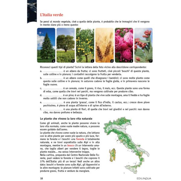 Geografia italiana per stranieri web 20 1 | Geografia italiana per stranieri B2-C2