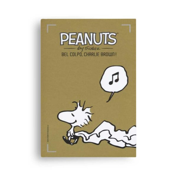 Bel colpo, Charlie Brown! – I Peanuts Vol. 15