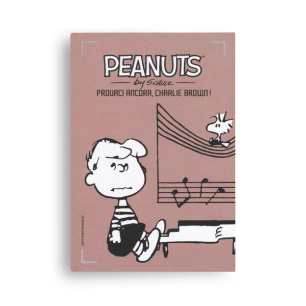 Provaci ancora, Charlie Brown! – I Peanuts Vol. 19