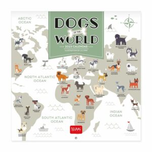 LEGAMI Dogs of the World Wandkalender 2023 – 18 x 18 cm