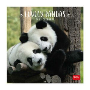 LEGAMI Lovely Pandas Wandkalender 2023 – 18 x 18 cm