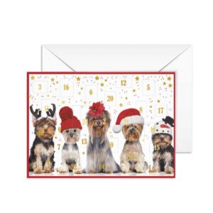 Advent calendar card dog bunch