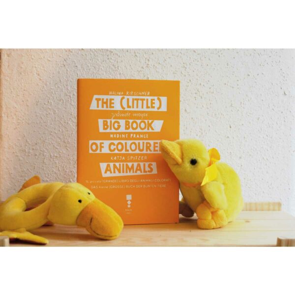 The little BIG book of coloured animals Multi 2 | The (little) BIG book of coloured animals
