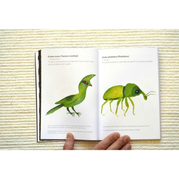 The little BIG book of coloured animals Preview 3 | The (little) BIG book of coloured animals