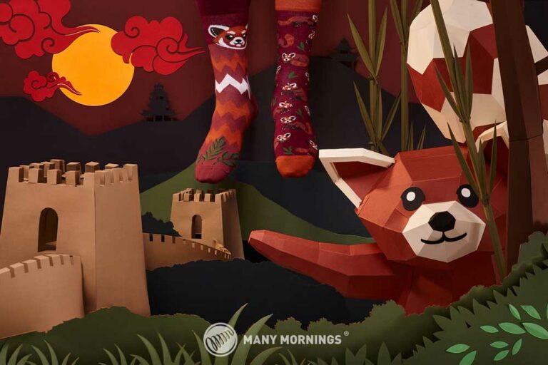 Many Mornings Red Panda