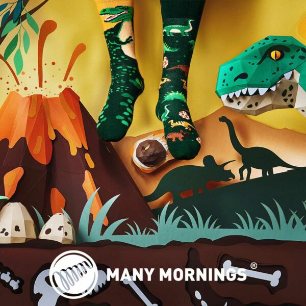 The Dinosaurs Dinosocken von Many Mornings 2 | The Dinosaurs Dinosocken