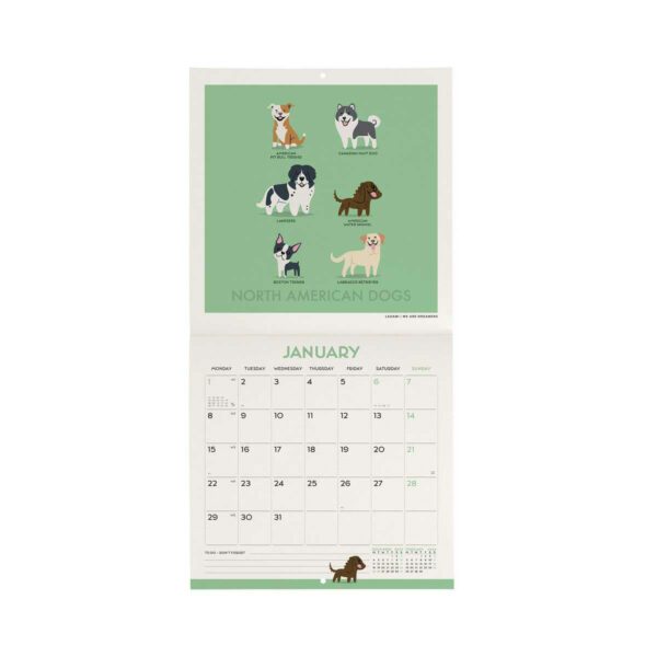 LEGAMI Dogs of the World Wandkalender 2024 – 18 x 18 cm 2 | Calendario da Parete Dogs of the World 2024 – 18 x 18 cm