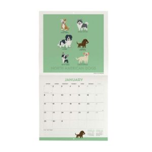 LEGAMI Dogs of the World Wandkalender 2024 – 30 x 29 cm 2 | Angebote