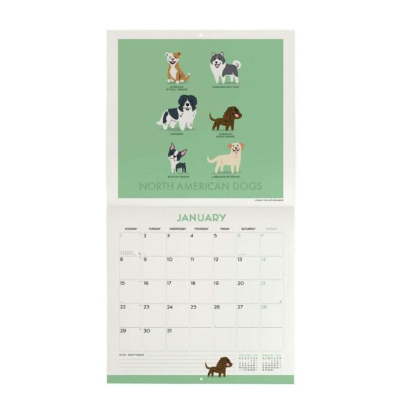 LEGAMI Dogs of the World Wandkalender 2024 – 30 x 29 cm 2 | Dogs of the World Wall Calendar 2024 – 30 x 29 cm