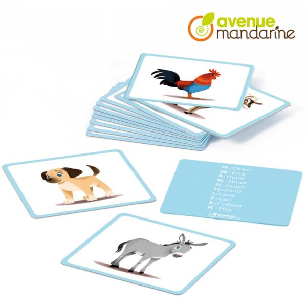 Avenue Mandarine – 24 Bildkarten Einheimische Tiere 2 | 24 Bildkarten Haustiere