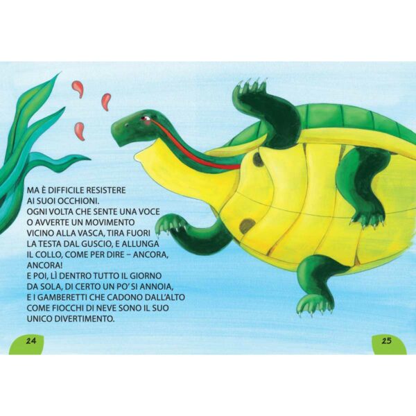 ELI La Spiga Una tartaruga extra large 3 | Una tartaruga extra large