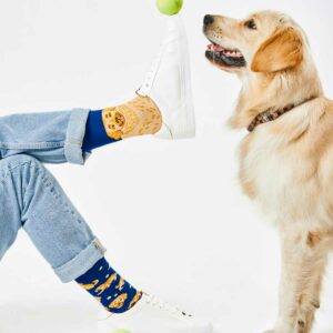 Golden Boy Hundesocken von Many Mornings 2 | Geschenkideen