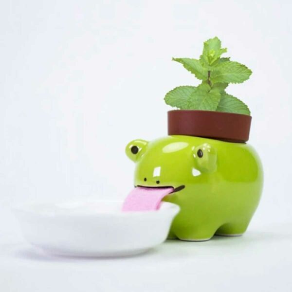 Peropon Frosch Selbstbewaesserndes Mini Pflanzset 2 | Peropon Frog - Self-watering Mini Plant Set