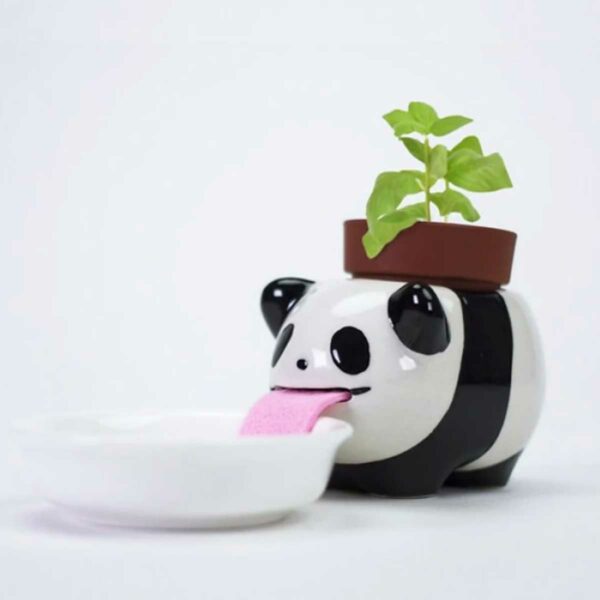 Peropon Panda Selbstbewaesserndes Mini Pflanzset 2 | Peropon Panda - Selbstbewässerndes Mini-Pflanzset