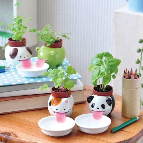 Peropon Selbstbewaesserndes Mini Pflanzset 2 | Peropon Panda - Self-watering Mini Plant Set