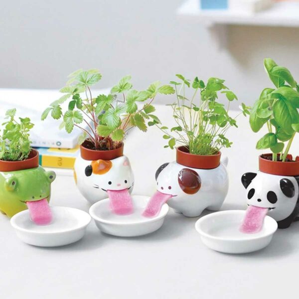 Peropon Selbstbewaesserndes Mini Pflanzset | Peropon Panda - Self-watering Mini Plant Set